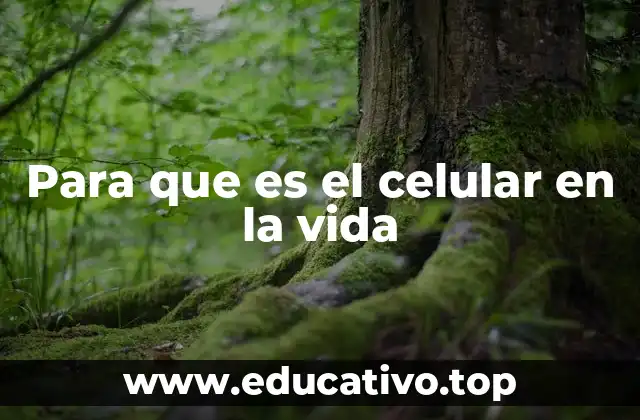 Para que es el celular en la vida