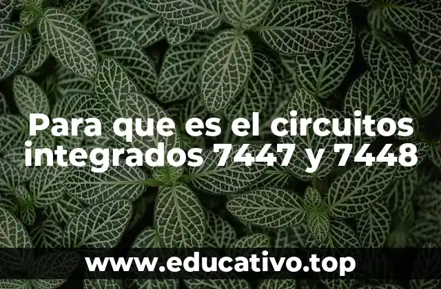 Para que es el circuitos integrados 7447 y 7448