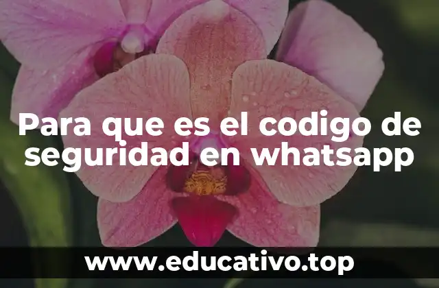 Para que es el codigo de seguridad en whatsapp