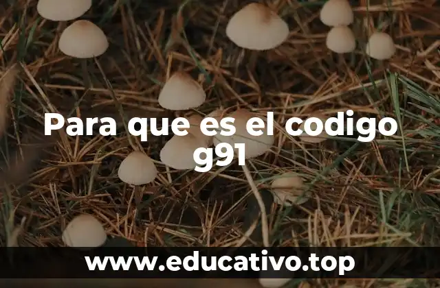 Para que es el codigo g91