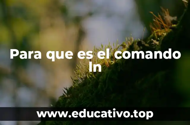 Para que es el comando ln