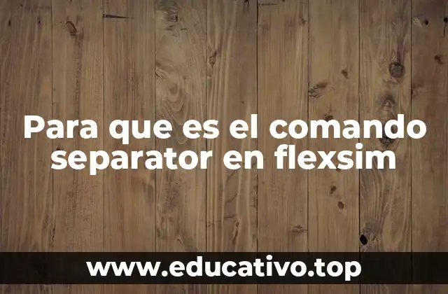 Para que es el comando separator en flexsim