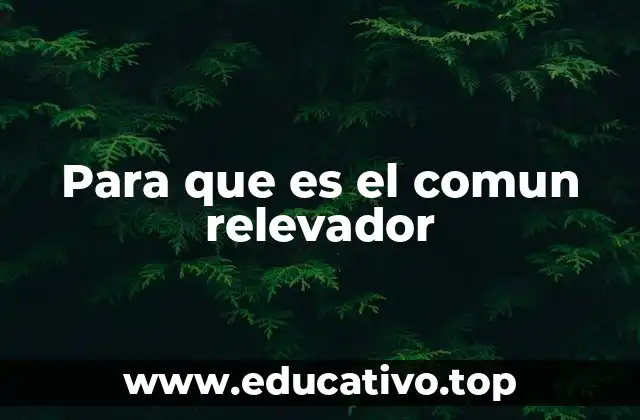 Para que es el comun relevador