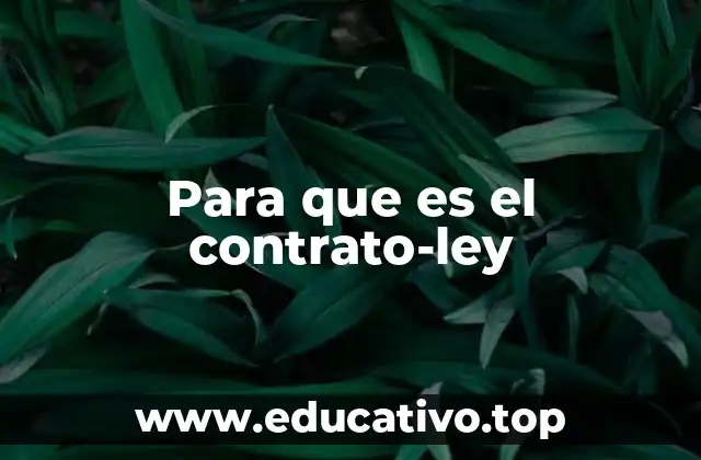 El contrato-ley como instrumento de regulación estatal