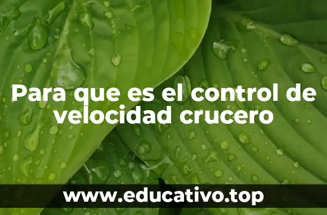 Para que es el control de velocidad crucero