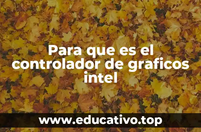 Para que es el controlador de graficos intel