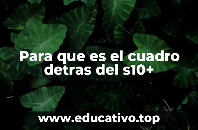 Para que es el cuadro detras del s10+