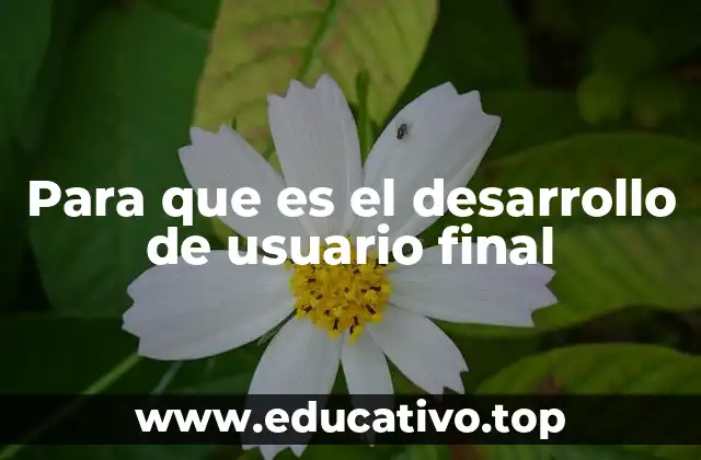 Para que es el desarrollo de usuario final