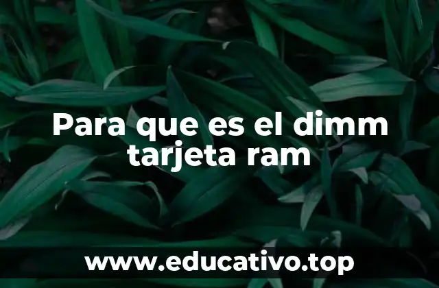 Para que es el dimm tarjeta ram