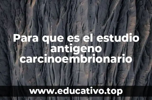 Para que es el estudio antigeno carcinoembrionario