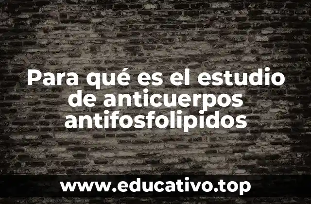 Para qué es el estudio de anticuerpos antifosfolipidos