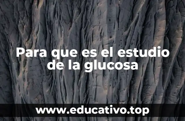 La importancia del monitoreo glucémico en la salud pública