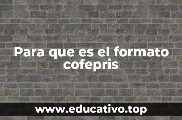 Para que es el formato cofepris