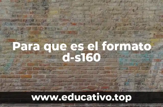 El D-S160 en el contexto de las redes móviles