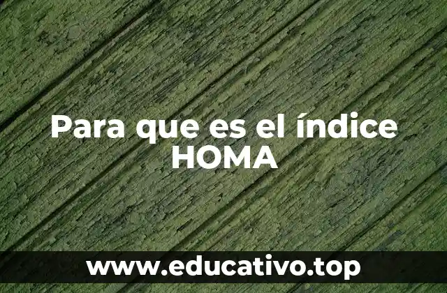 Para que es el índice HOMA