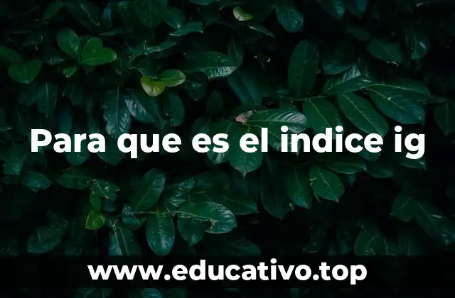 Para que es el indice ig