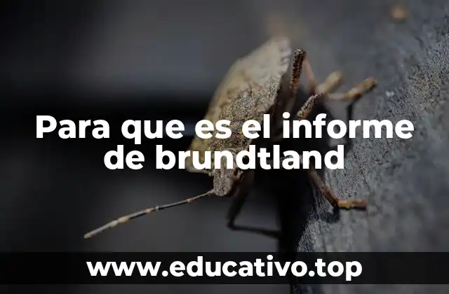 Para que es el informe de brundtland