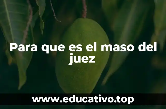 Para que es el maso del juez