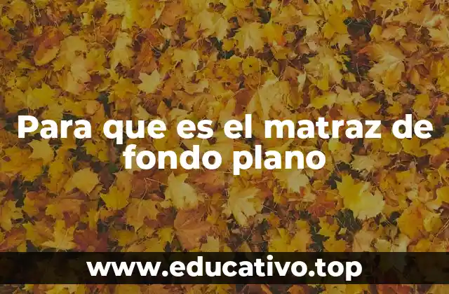 Para que es el matraz de fondo plano