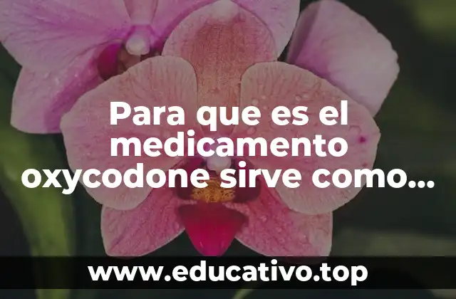 Para que es el medicamento oxycodone sirve como droga