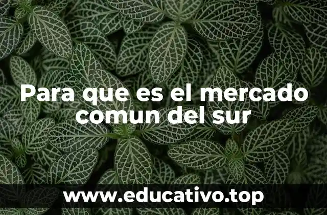 Para que es el mercado comun del sur