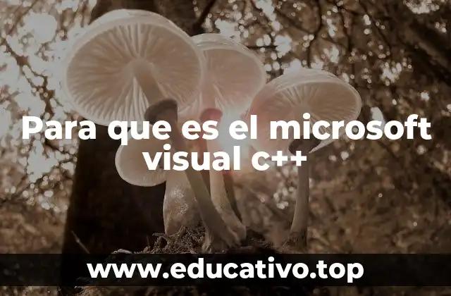 Para que es el microsoft visual c++