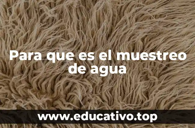 Para que es el muestreo de agua