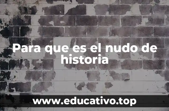 Para que es el nudo de historia