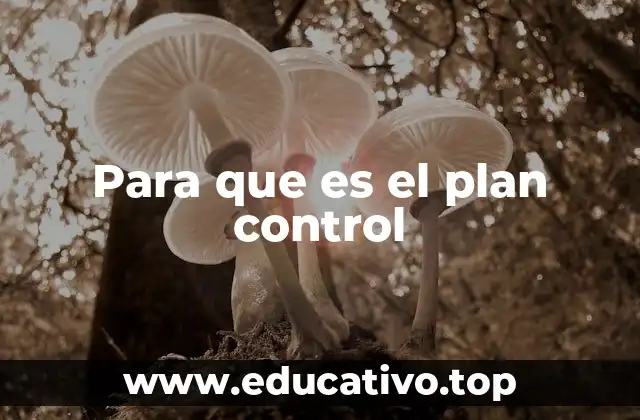 Para que es el plan control