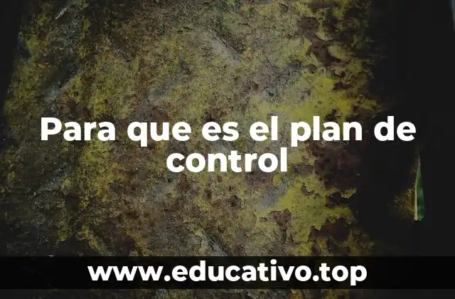 Para que es el plan de control