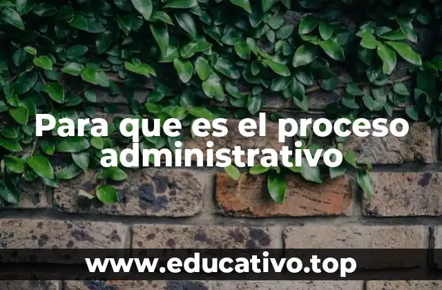 Para que es el proceso administrativo