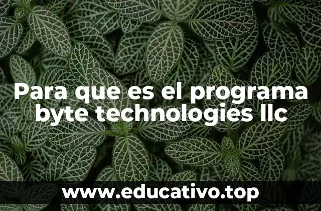Para que es el programa byte technologies llc