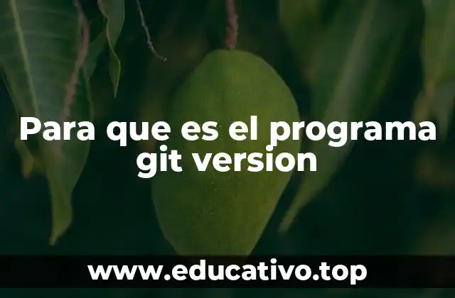 Para que es el programa git version