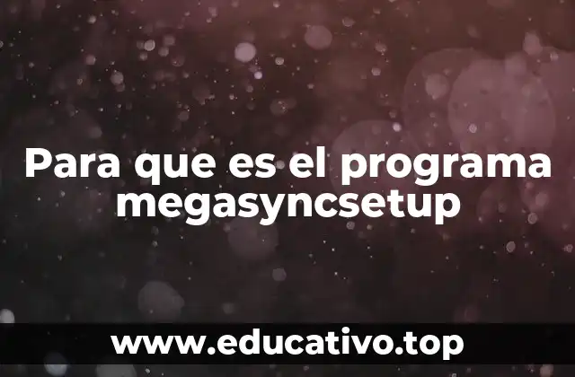 Para que es el programa megasyncsetup