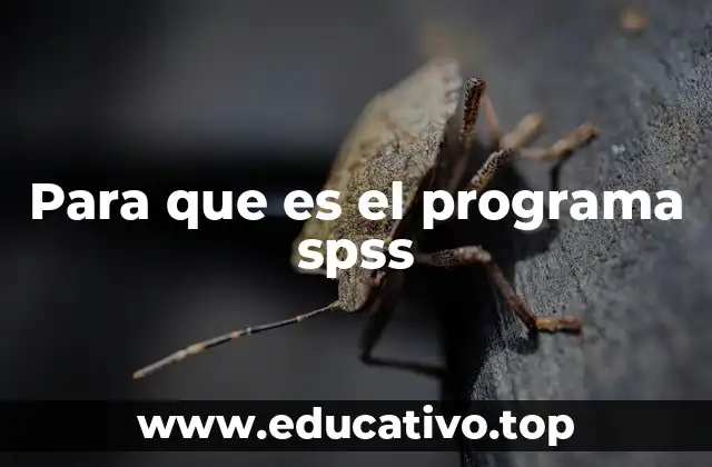Para que es el programa spss