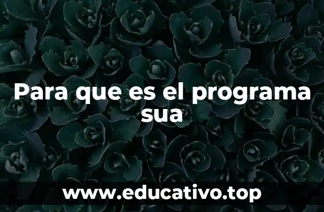 Para que es el programa sua