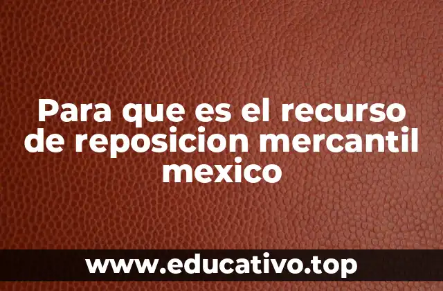 Para que es el recurso de reposicion mercantil mexico