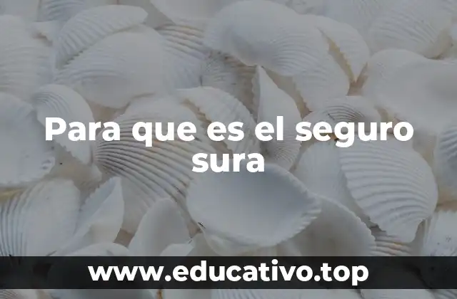 Para que es el seguro sura