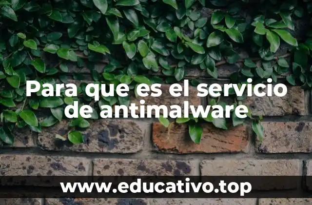 Para que es el servicio de antimalware