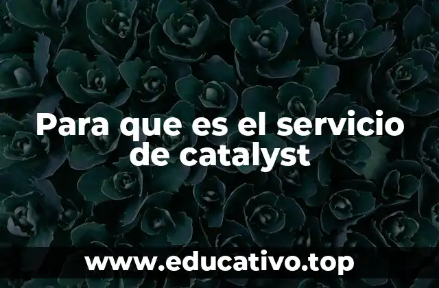 Cómo Catalyst transforma la colaboración entre organizaciones