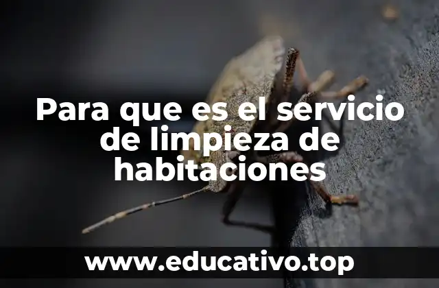 Para que es el servicio de limpieza de habitaciones