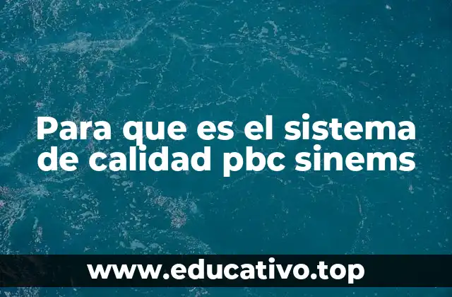Para que es el sistema de calidad pbc sinems