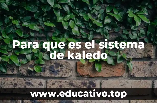Para que es el sistema de kaledo