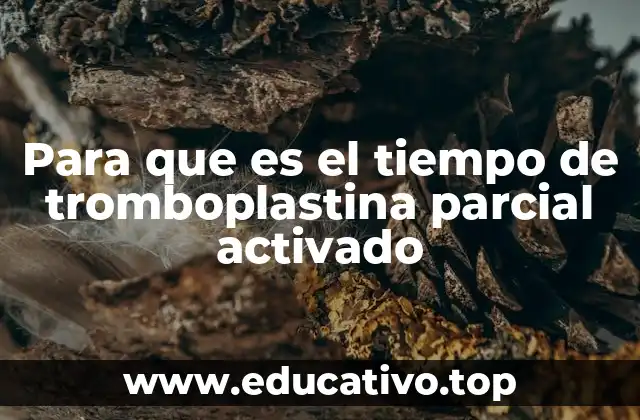 Para que es el tiempo de tromboplastina parcial activado