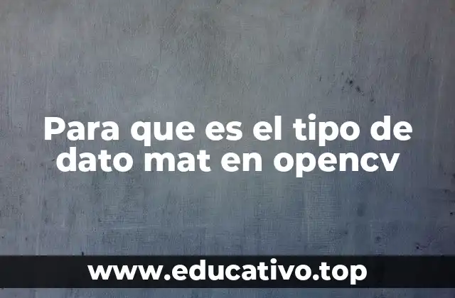 Para que es el tipo de dato mat en opencv