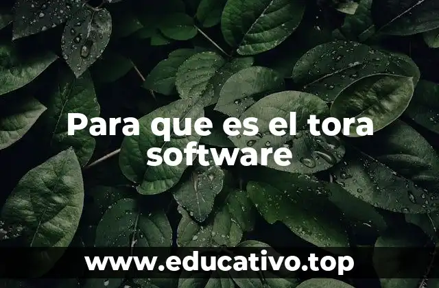 Para que es el tora software