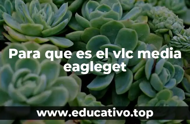 Para que es el vlc media eagleget