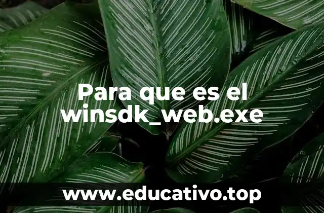 Para que es el winsdk_web.exe