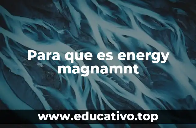 Para que es energy magnamnt