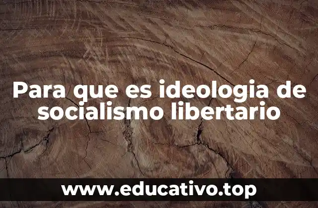 Para que es ideologia de socialismo libertario
